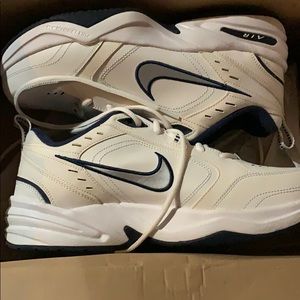 Air monarch IV